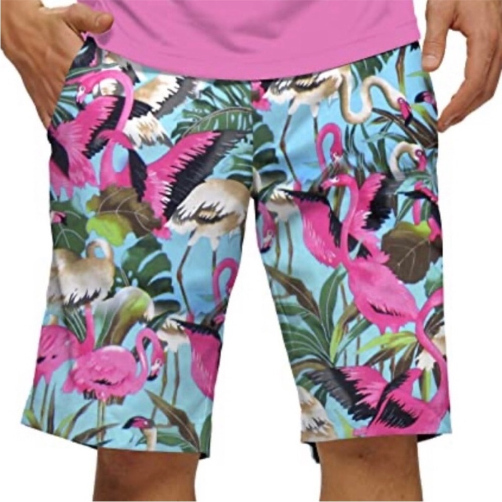 Loudmouth Flamingo Paradise Men's Shorts Sz 34 - Pink and Blue! The best!